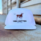HC Cattle