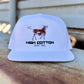 HC Cattle